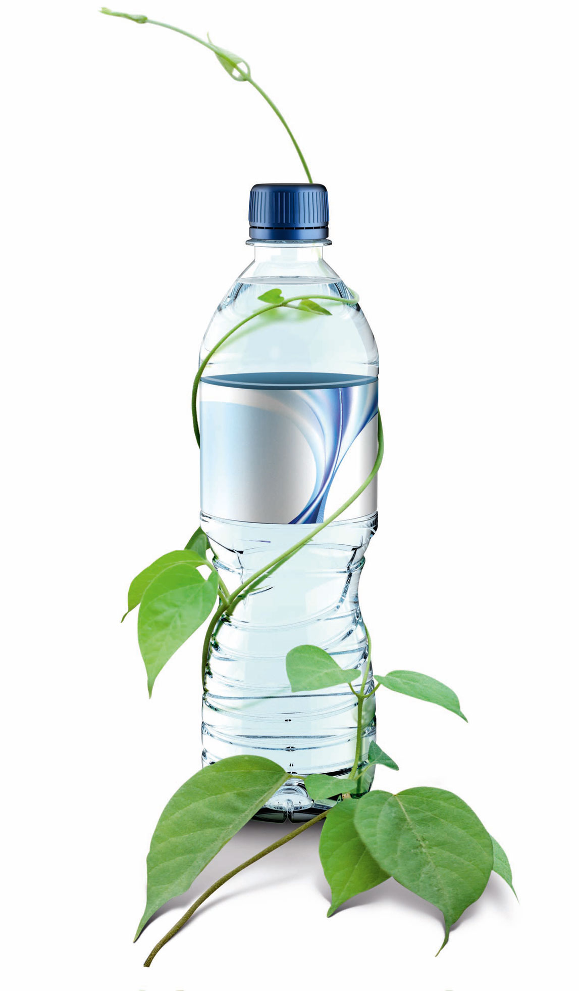 bottle - plant
