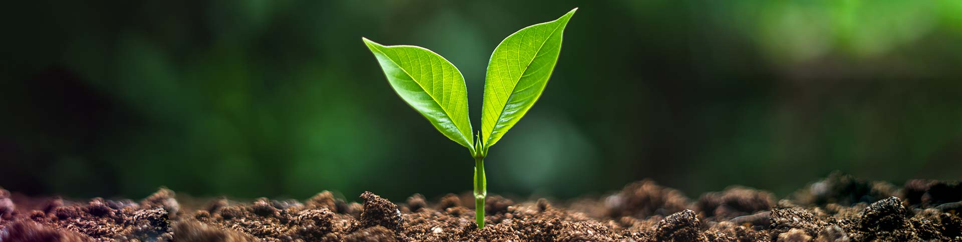 Sustainability_PR_top_SIDEL.jpg