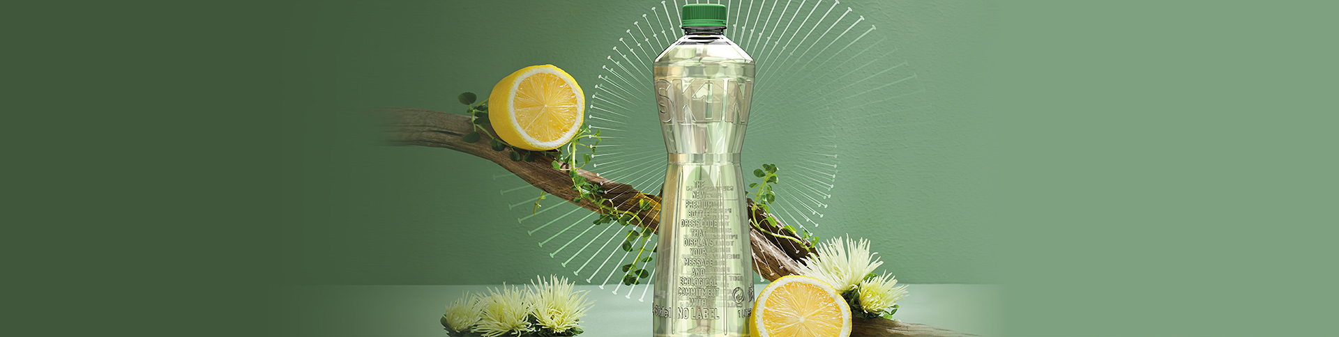 LandingPage_1920x484a.jpg
