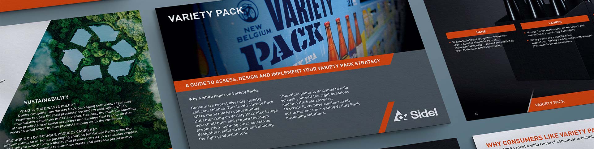 Sidel-Variety-Pack-top.jpg