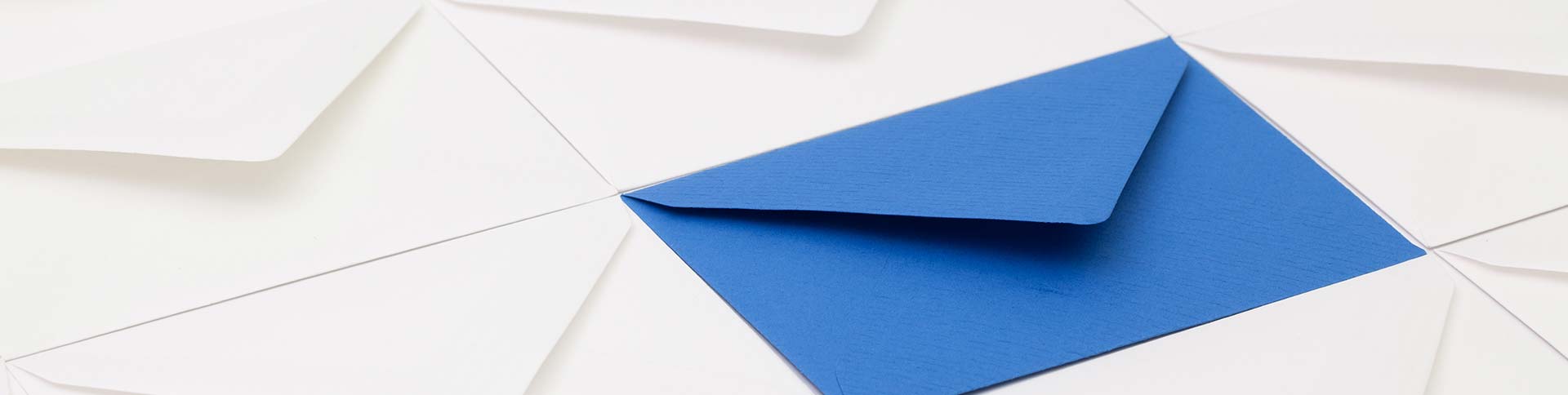Newsletter Top