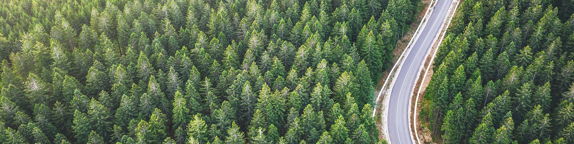 EcoVadis_Sidel_top.jpg