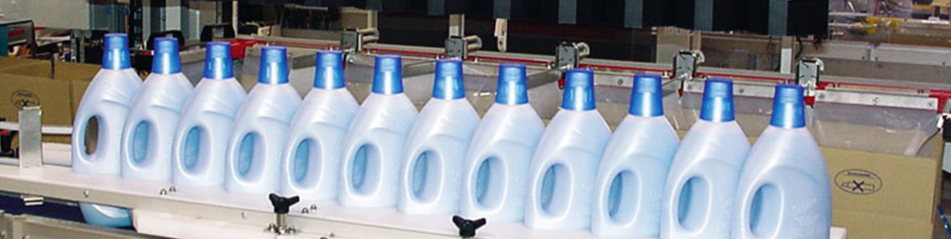 High-speed-bottle-infeed-5.jpg
