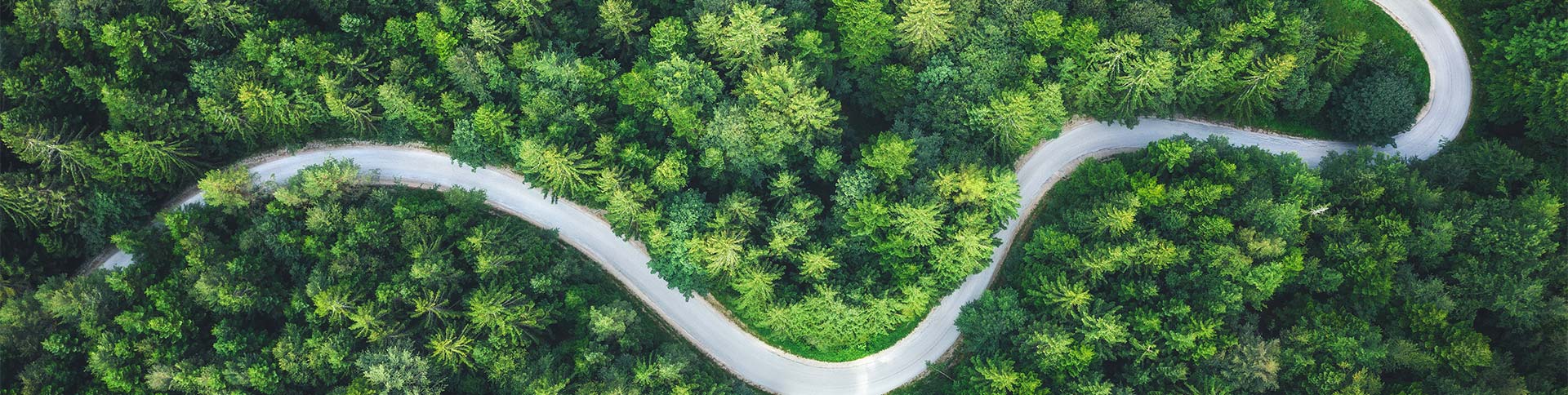 Roadmap-to-net-zero.jpg