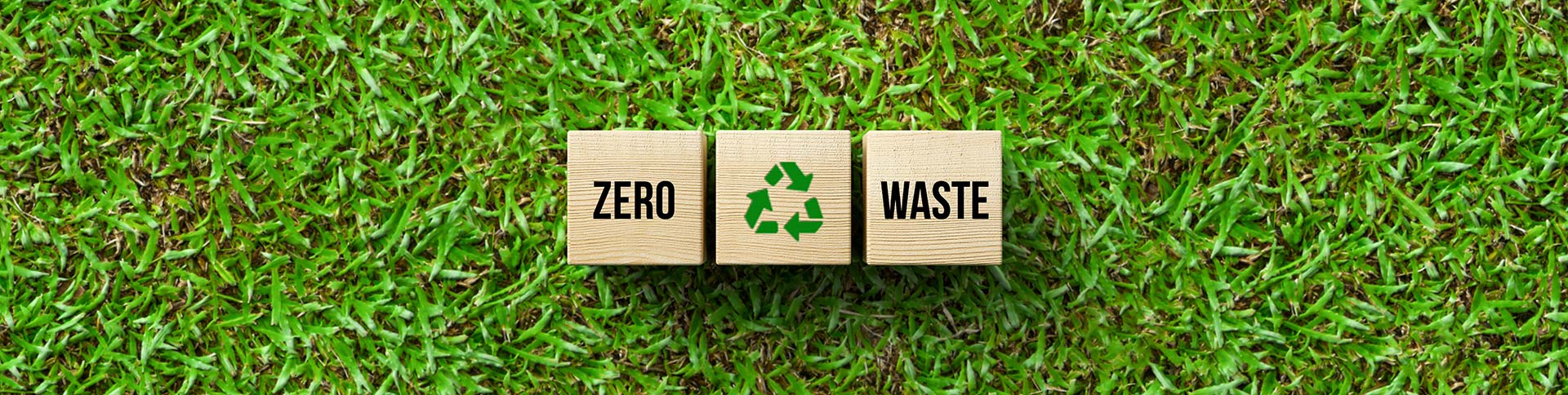 Sustainable_packaging.jpg