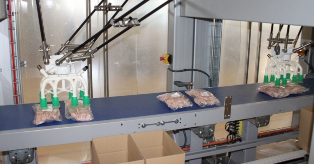 flowdesigner-r-a-new-robotic-solution-for-collating-and-packing-products-that-cannot-be-accumulated_thumbnails10.jpg