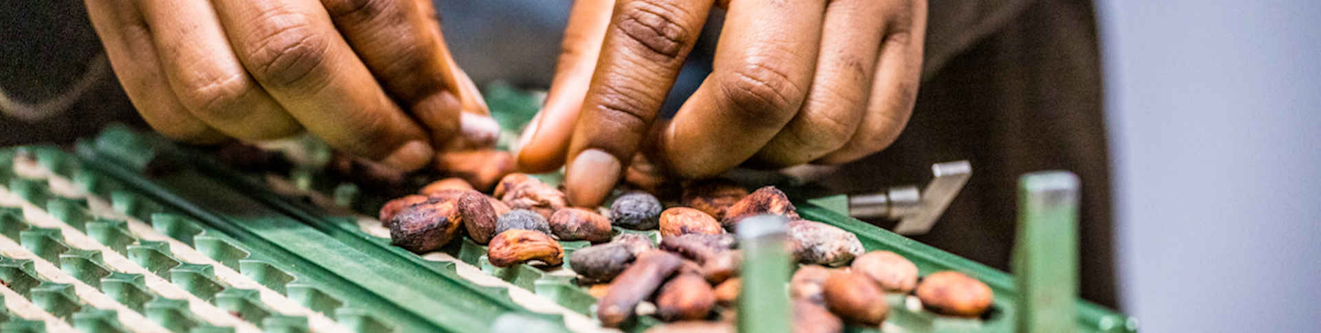 Sidel_Niche Cocoa_top.jpg