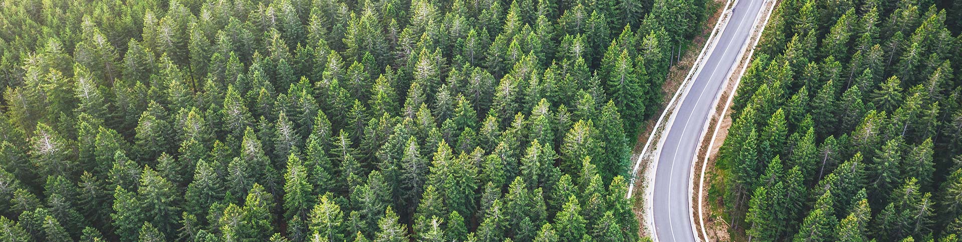 sustainability_report_Sidel_top.jpg
